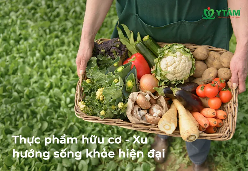 Thực phẩm hữu cơ – Xu hướng sống khỏe hiện đại