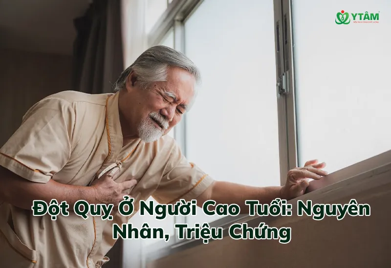 Đột Quỵ Ở Người Cao Tuổi: Nguyên Nhân, Triệu Chứng